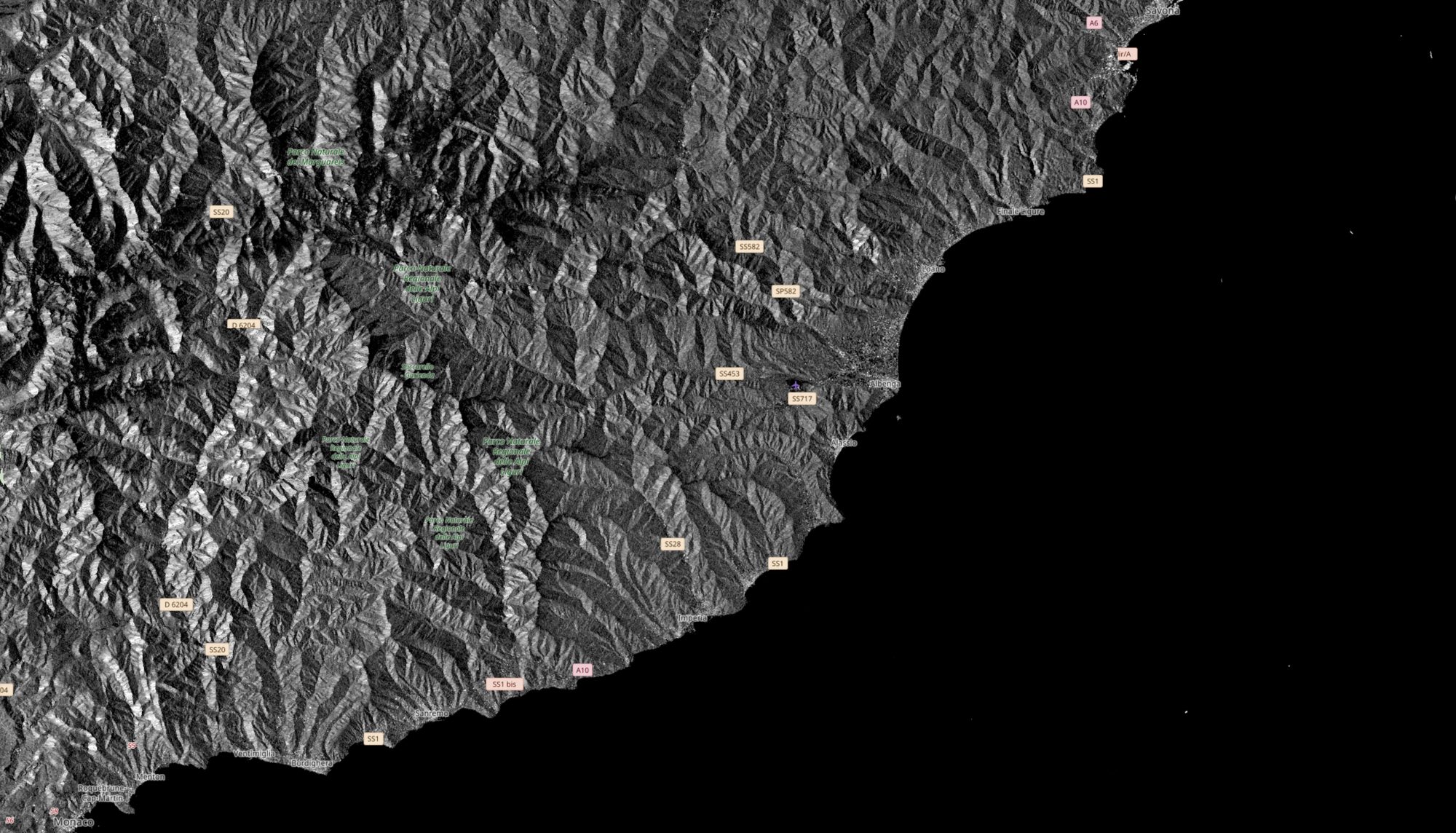 La stessa area vista da Sentinel-1 (SAR)
